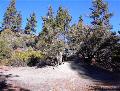 cave rock, hike, forest, hiking, trail, trailhead, lake view