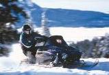 snowmobile, snowmobiling, winter sport, forest, snow